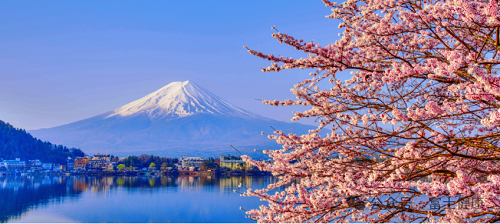 樱花季，富士国际健康东京大学附属医院高端精密体检特惠放送