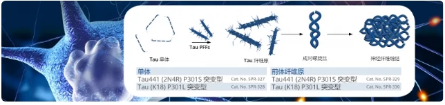 微信截图_20250407163848.png